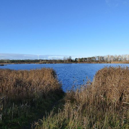 Uckermark "Ferienwohnung Sommerfugl " Passow  Eksteriør bilde