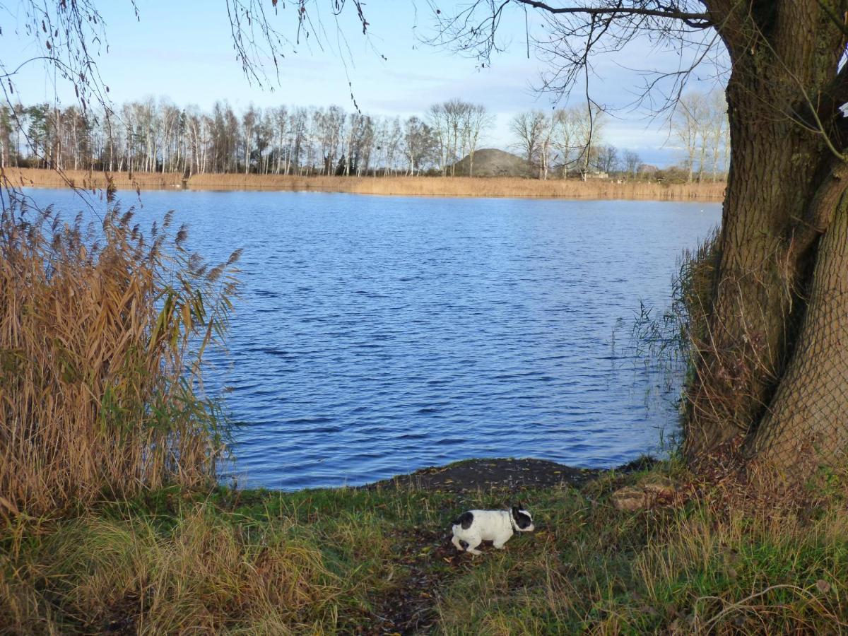 Uckermark "Ferienwohnung Sommerfugl " Passow  Eksteriør bilde